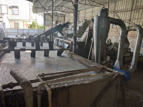 7月1日嚴控污染 關停不合格塑料企業，刑拘7人，32家廢塑料加工廠面臨排污許可證危機